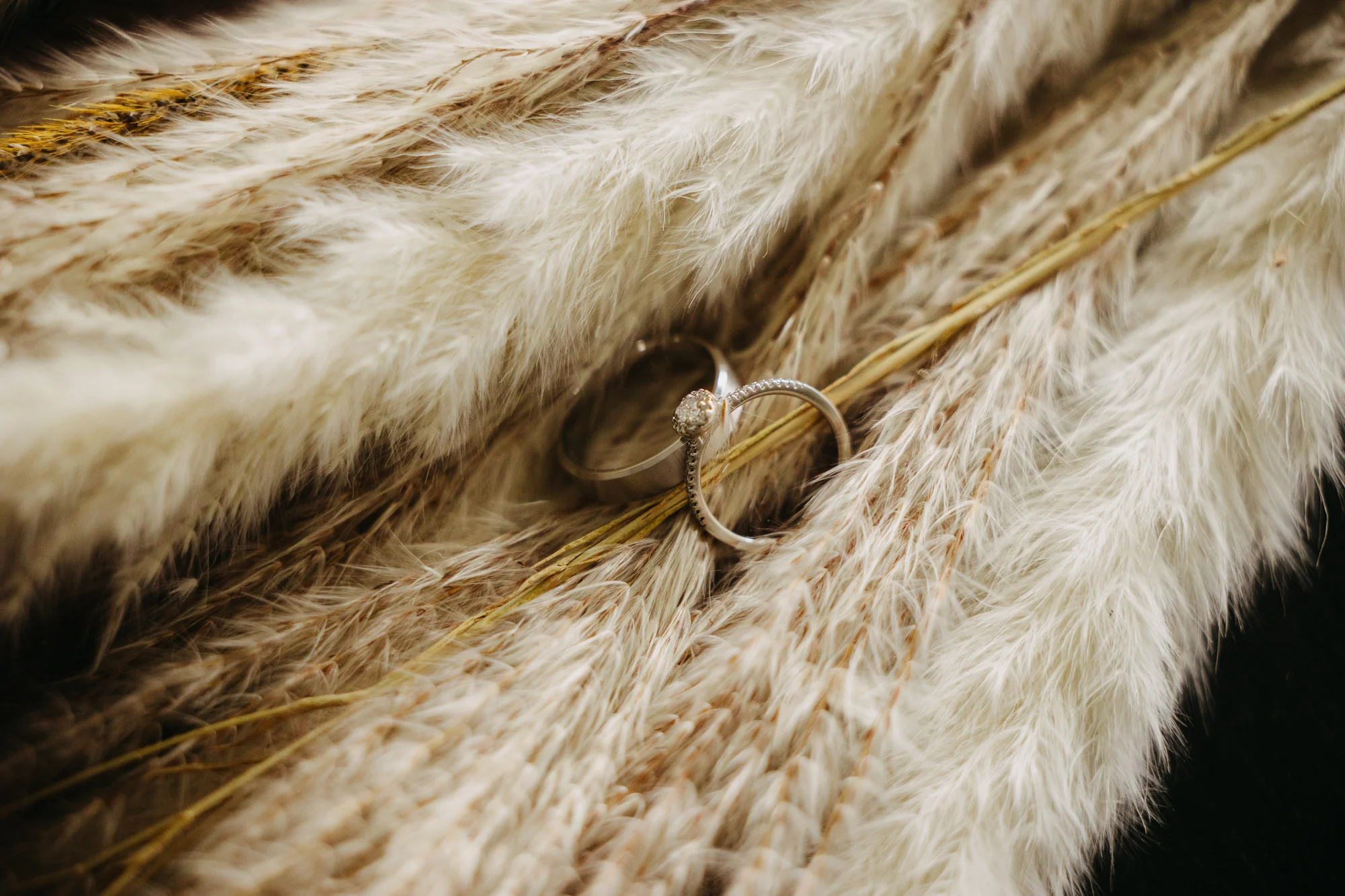 Ervaring huwelijksvideograaf