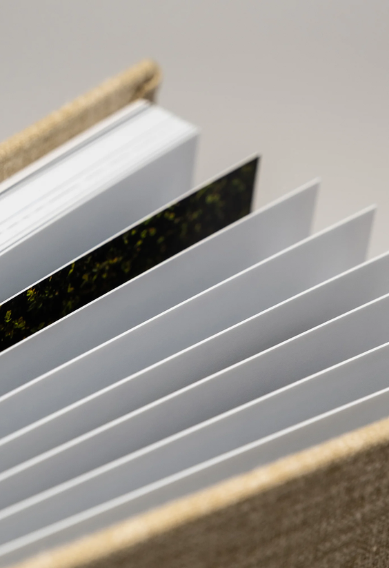 Trouwfoto door Love Motion - slide